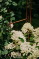 Arche de jardin LENA